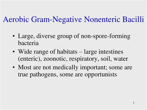 Ppt Aerobic Gram Negative Nonenteric Bacilli Powerpoint Presentation