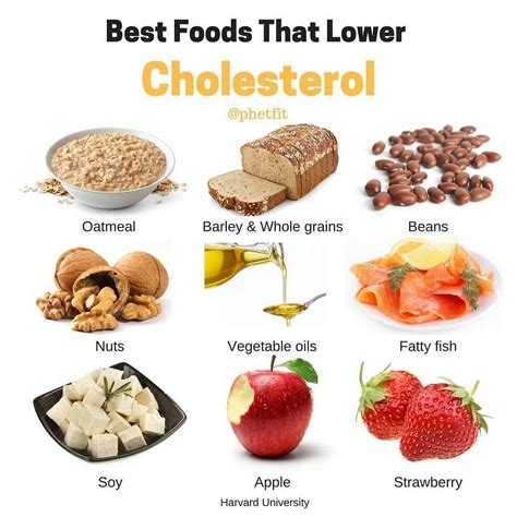 Foods That Lower Cholesterol Hot Sex Picture