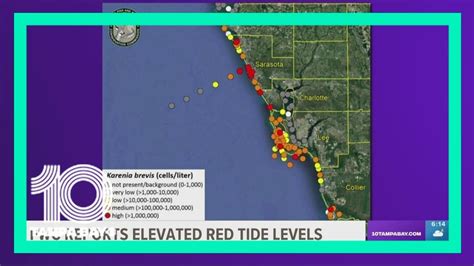 Fwc Red Tide Bloom Detected In Manatee Sarasota Counties Youtube
