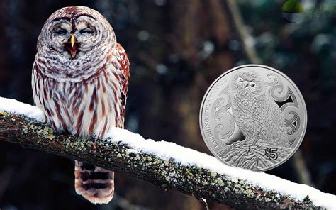 New Zealands Annual 5 Silver Coin Features A Native Bird The Laughing