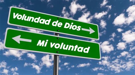 ¿cómo Encuentras La Voluntad De Dios