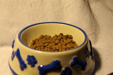 Nutro's natural dog food (check today's price) contains whole grains to nourish a healthy digestive system for appropriate nutrient absorption, whole oatmeal that's high in solvable fiber for delicate stomachs, and antioxidants, such as vitamin e, for overall cellular and immune health. Science Diet w/d Dog Food: Not Veterinarian Recommended ...