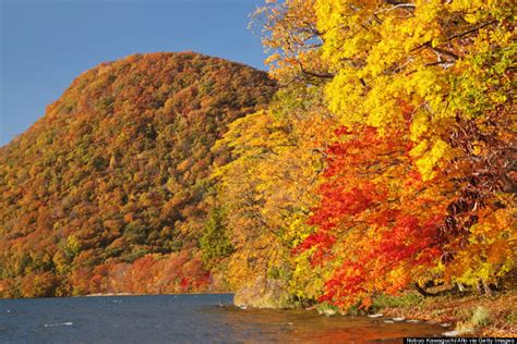 Why This Island In Japan Is The Best Place To See The Leaves Change