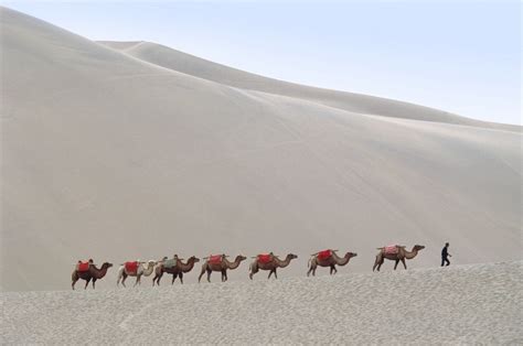 The camels and horses of the caravan crossing the steppe numbered in their thousands, but to the. Silk Road Cultural Exchange | Silk Road Cities | GeoEx Blog