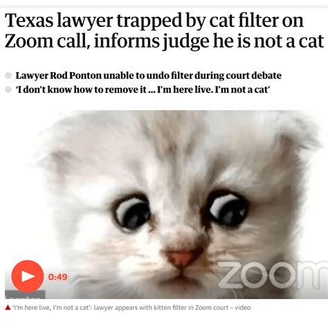 Texas lawyer trapped by cat filter on zoom call, informs judge he is not a cat a texas attorney unintentionally left a kitten filter out on all through a video convention name with a pass judgement on and was once not able to switch it, sooner or later responding to a pass judgement on's question about why he was once being addressed through. Texas lawyer trapped by cat filter on Zoom call, informs ...