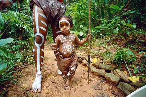 Mit Ureinwohnern Durch Den Regenwald Seite 4 Australien Reise Derstandardat › Lifestyle