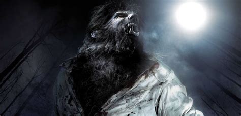 Why Are Werewolves So Popular The History Of The Werewolf Legend