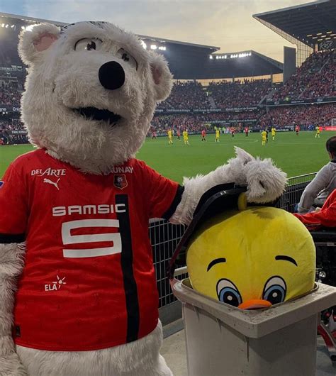 L'IMAGE. La mascotte du Stade Rennais humilie le FC Nantes en