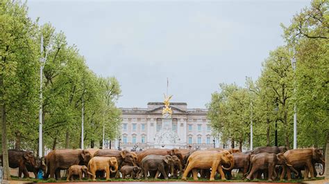 Great Elephant Migration public art exhibit coming to Newport