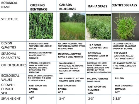 And the classiﬁcation accuracy of the different grassland types ranged from 61.64% to 98.71%; landscape- types plants-tree-shrubs