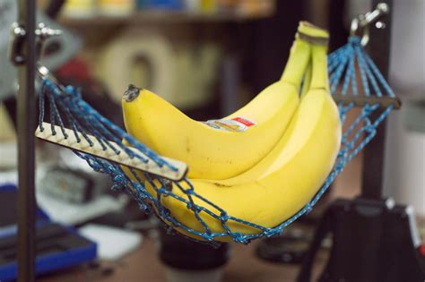 Study Shows Relaxed Bananas Are Healthier For You G00