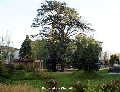 We did not find results for: CHASSELAY 69380 - Rhône-Alpes - Divers: Clinique Charcot