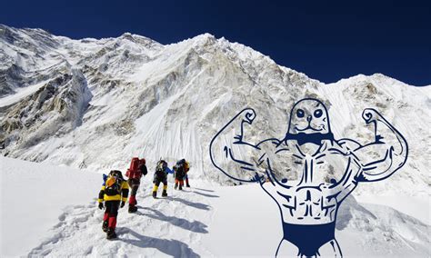 Mount everest—known in nepali as sagarmatha and tibetan as chomolungma—straddles the border between nepal and tibet at the crest of the himalayan mountain chain. SEALING MOUNT EVEREST | SeaDNA Canada