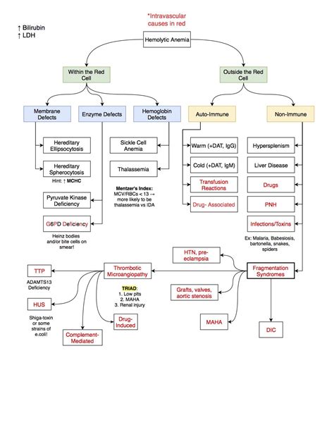 Algorithm For The Diagnosis And Workup Of Hemolytic Grepmed
