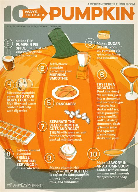 20 Useful Infographics About Pumpkin