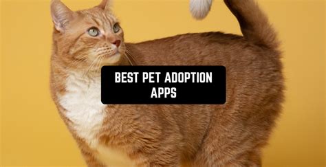 7 Best Pet Adoption Apps In 2022 Android And Ios Free Apps For