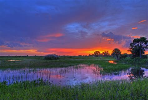 Everglades National Park Earth Blog