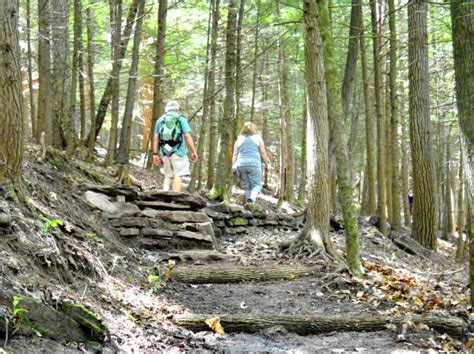 Pa Wilds Center Partners With Keystone Trails Association To Create