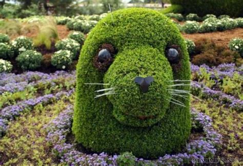 Topiary Art Art