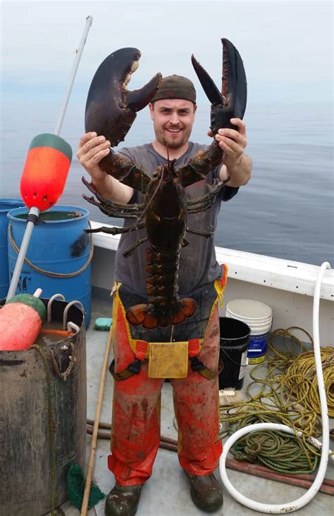7 Largest Lobsters Ever Captured