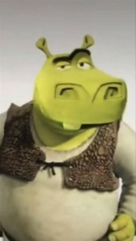 Ur Mum Shrek Funny Shrek Memes Shrek