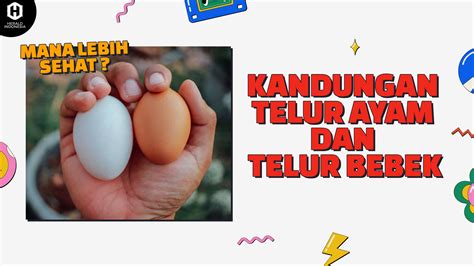 Perbandingan Telur Ayam Vs Telur Bebek Mana Lebih Sehat Herald Id