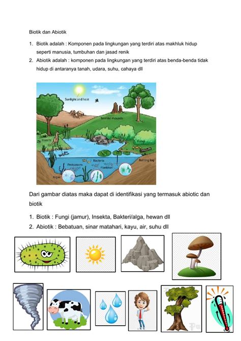 Soal Ipa Kelas 7 Interaksi Makhluk Hidup Dengan Lingkungan Doc - Lembar