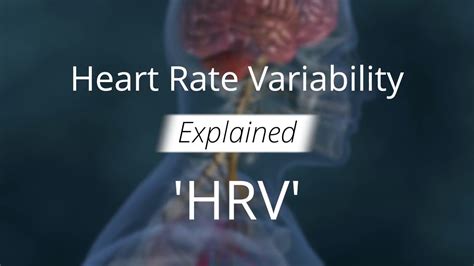 Heart Rate Variability Hrv Explained For Health And Decision Making