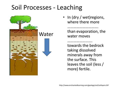 Ppt 34 The Soil System Your Tasks Powerpoint Presentation Id1973050