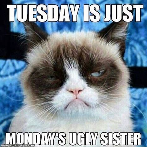Some are about how work seems to drag on forever, others are about trying to avoid work, and a lot of them focus on frustrating experiences with coworkers or management. Funny Tuesday Quotes. QuotesGram