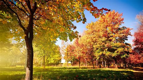 Free Download Autumn Landscape Wallpaper 846667 1920x1080 For Your