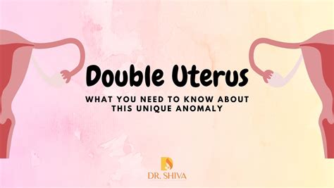Uterus Didelphys Causes Symptoms Diagnosis And Treatment Two Uterus