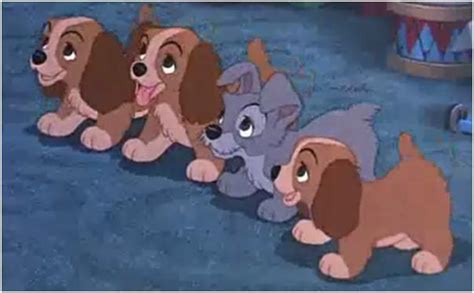 Lady and the tramp puppies. Lady and the Tramp Screenshots - Lady and Tramp Image (9564421) - Fanpop