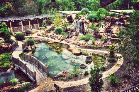 We did not find results for: house-on-the-rock-2.jpg (960×640) | Carpe koi, Bassin ...