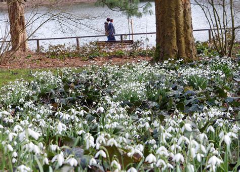 We did not find results for: Botanischer Garten Rombergpark: Park erhält auch neuen ...