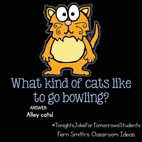 Tonights Joke For Tomorrows Students What Kind Of Cats Like To Go