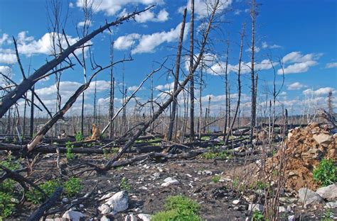 Devastated Landscape Stock Photo Image Of Lifeless Earth 11695476