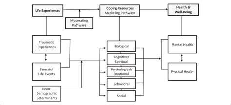 A Theoretical Model Of The Impact Of Life Course Trauma On Health And