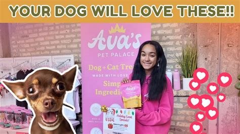 Discover The Purr-fect Delights At Ava's Pet Palace: Dog + Cat Treats