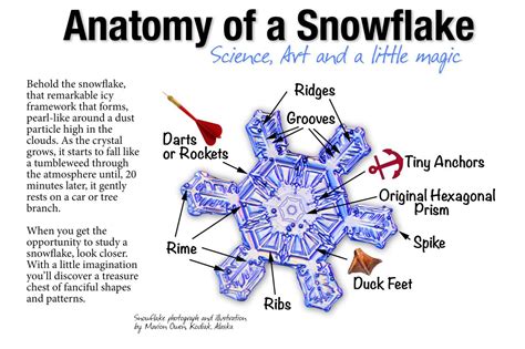 Anatomy Of A Snowflake Science Art And A Little Magic Snowflakes