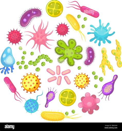 Microorganism Bacteria Virus Cell Disease Bacterium And Fungi Cells Micro Organism Diseases