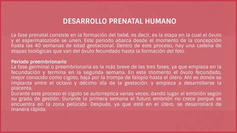Desarrollo Prenatal Humano