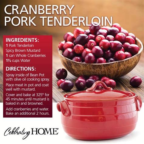 A Wise Woman Builds Her Home Homemaking Days Cranberry Pork Tenderloin