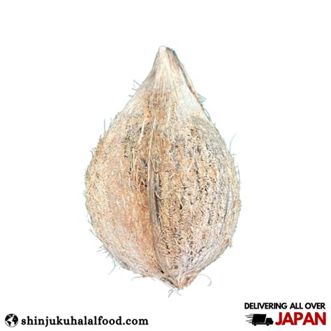 Indian Coconut Whole 1kg ±300gm Shinjuku Halal Food And Electronics