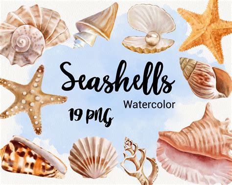 Watercolor Seashells Clipart Ocean Beach Clip Art Sea Etsy
