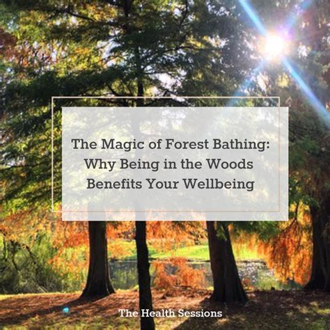 The Magic Of Forest Bathing Why Being In The Woods Benefits Your