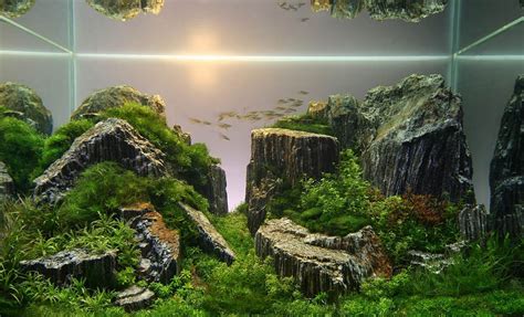 Legendary Aquarist Takashi Amano Aquarium Architecture Aquascape