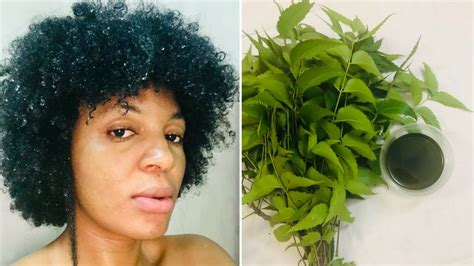 Hair growth culminates in about 0.3 to 0.4 mm per day on average, which adds up to about six inches in a year.1 your hair is practically an organ system all its own, and it can tell you about your own health. You Need To Try This Neem Oil For Super Hair Growth - YouTube