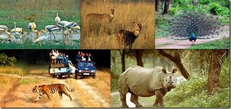 Gir forest national park, gujarat. National Parks and Sanctuaries in India | Aspirant Forum