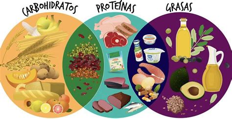 Tu salud y aspecto depende de los alimentos y sus nutrientes: ¿POR QUÉ MI CUERPO NECESITA COMER DE TODOS LOS NUTRIENTES? - Nutriban